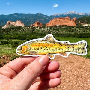 Pegatina de vinilo de trucha degollada de Colorado Greenback