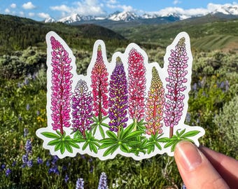 Pretty Pastel Lupine Wildflower Vinyl Sticker
