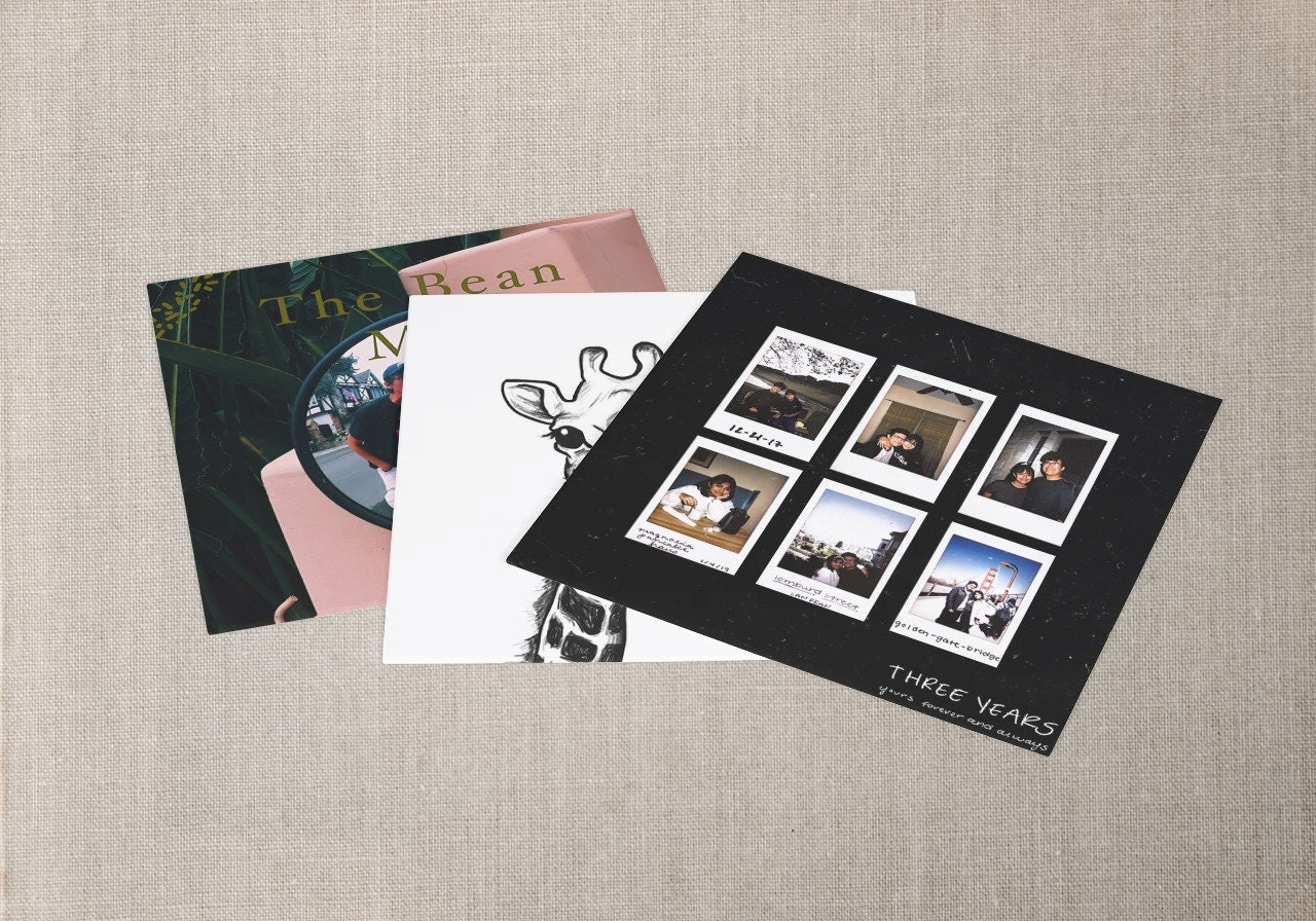 Custom Printed Vinyl Record Jacket 12inch LP Vinyl Album Etsy