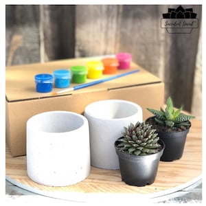 Paint Your Own Pots - Great for kids and adults to bring out creativity and paint the pot with own design.