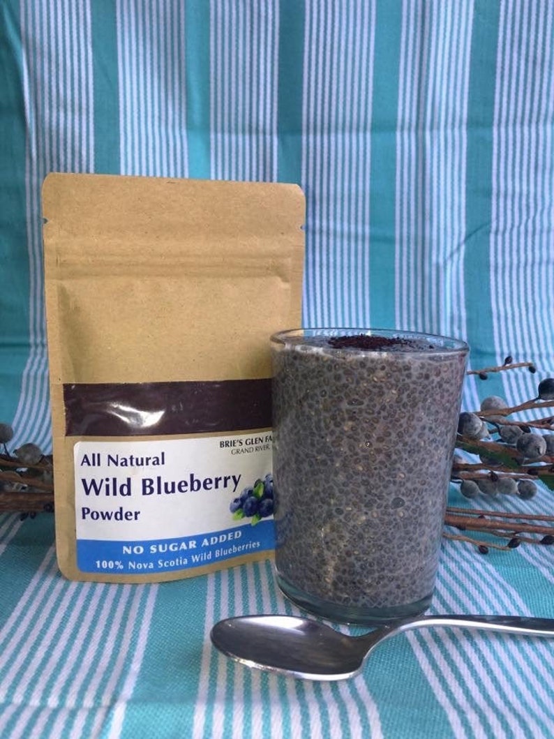 100 Wild Blueberry Powder. Made With the All Natural Raw Etsy