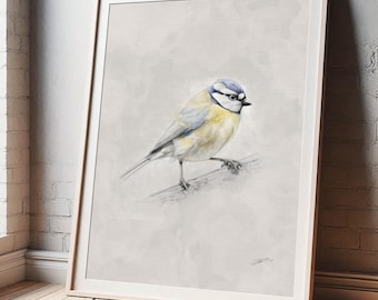 Impresión artística de un herrerillo común / Boceto de acuarela de pájaro / Póster de vida silvestre / Decoración de pared / Regalo para el hogar