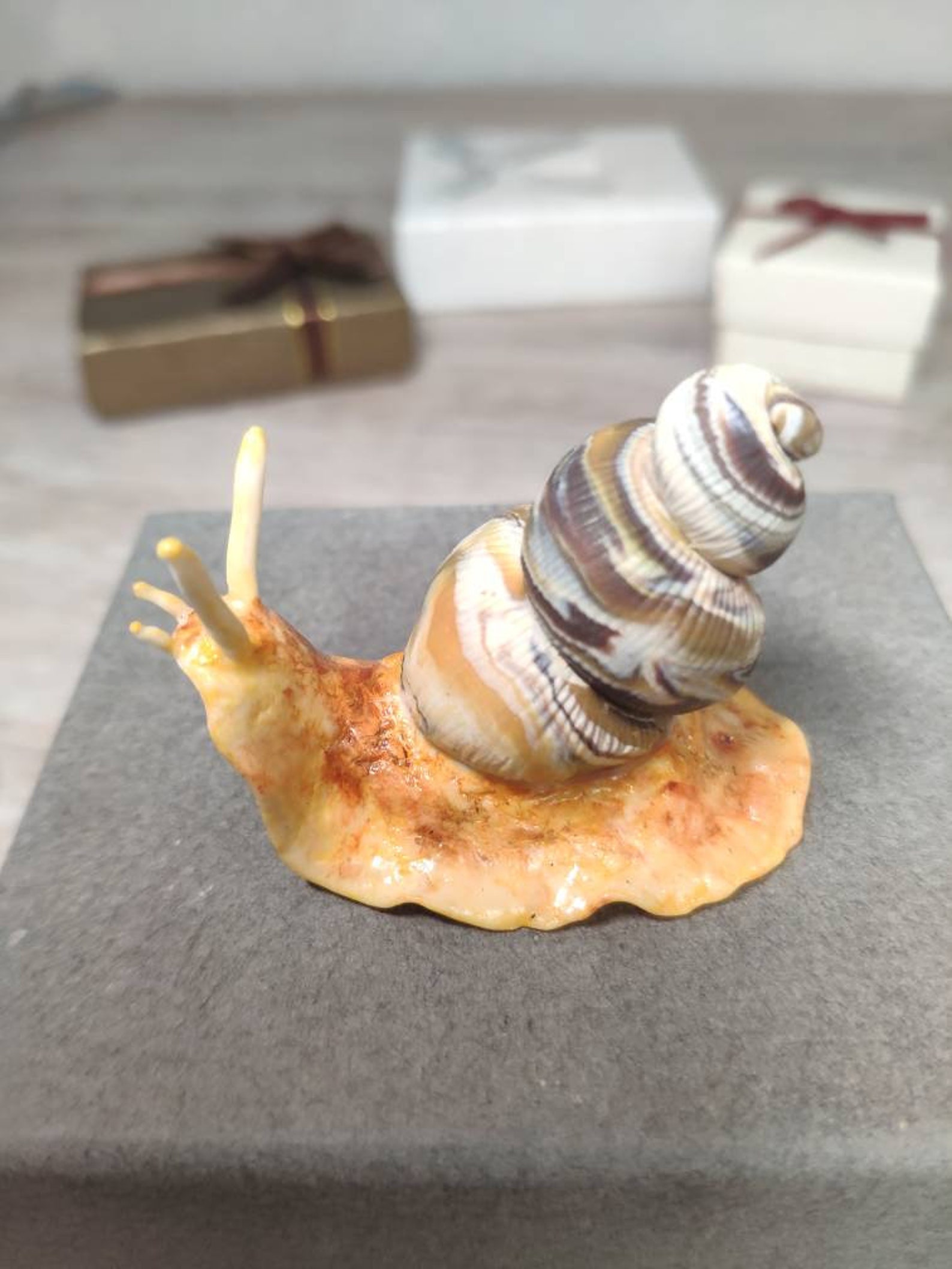 Realistic snail. Fake snail. Polymer clay snail Etsy