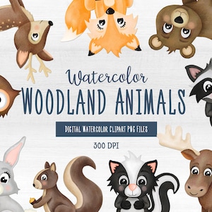 Woodland Animals PNG Clipart, Acuarela Woodland Animals, Acuarela Zorro Conejo Oso Mofeta Ardilla Alce Ciervo Mapache Búho Clipart