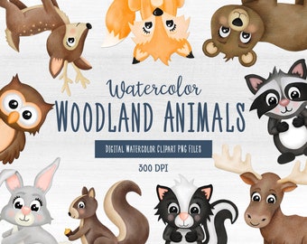 Zwierzęta leśne PNG Clipart, Akwarela Zwierzęta leśne, Akwarela Lis Królik Niedźwiedź Skunk Wiewiórka Łoś Jeleń Szop Sowa Clipart