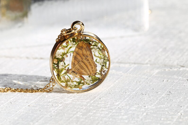 Terrarium Necklace Real butterfly necklace Woodland Necklace Resin Jewelry Real Specimen Real Flower Necklace Botanical Necklace