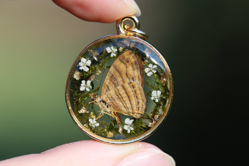 Terrarium Necklace Real butterfly necklace Woodland Necklace Resin Jewelry Real Specimen Real Flower Necklace Botanical Necklace