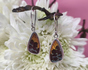 Butterfly Wing Earrings, Curved Wing Shaped Real Butterfly Wings Earrings, Different Colors Available