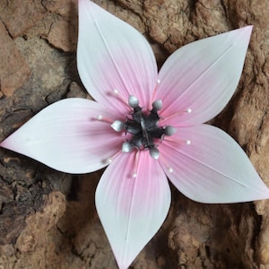 May include: A delicate, five-petaled flower crafted from paper, with a pink and white gradient. The flower has a center made of silver beads and is displayed on a piece of weathered wood.