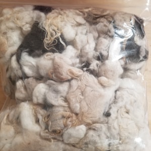 May include: A clear plastic bag filled with white, gray, and brown wool fibers. The wool is loose and fluffy, and it appears to be a mixture of different types of wool.
