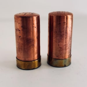 May include: A pair of cylindrical salt and pepper shakers featuring a polished copper body with a weathered texture and a contrasting brass base. Each shaker has a rounded top with a series of small, evenly spaced holes for dispensing contents.