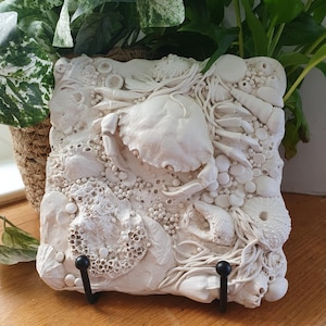 May include: Off-white square wall art with a detailed relief of marine life. A crab is the central focus, surrounded by seashells, sea urchins, and other ocean elements. Two black metal hooks are attached to the bottom.
