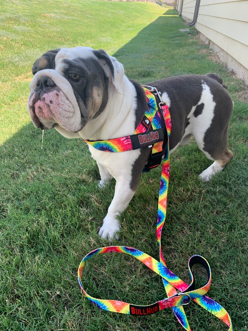 Dog Harness & Leash name tag sold separately Etsy