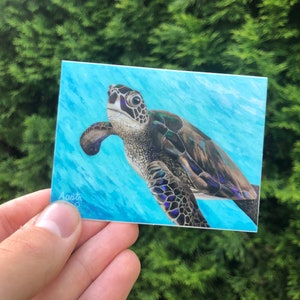2,5 x 3,3 inch sticker 'Sea King' schildpadschilderij