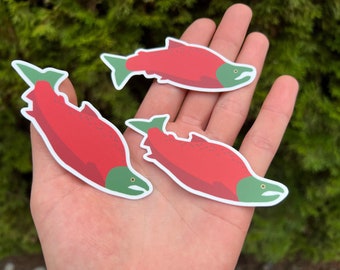 3.5" Sticker set "Sockeye Salmon" - Lake Washington, Puget Sound, Salish Sea from Mural Design - Sockeye/Kokanee Salmon Art