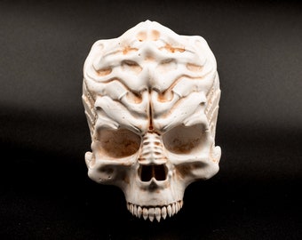 Klingon Skull Replica | 3D Printed | Vegan Taxidermy | Cruelty Free! | Museum Quality
