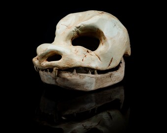 Blastoise Skull Replica | 3D Printed | Vegan Taxidermy | Cruelty Free!