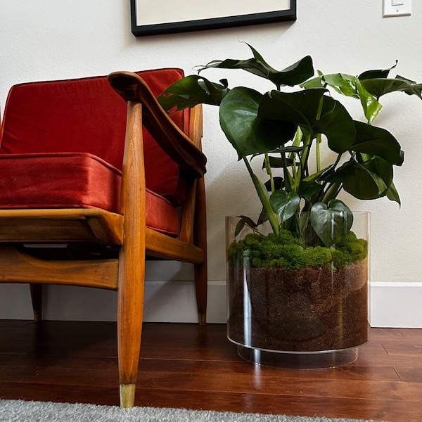 Acrylic GHOST Planter Pot, Mid Century Modern Decor, For Indoor Plants, Sizes 4", 10", 12" & 14"
