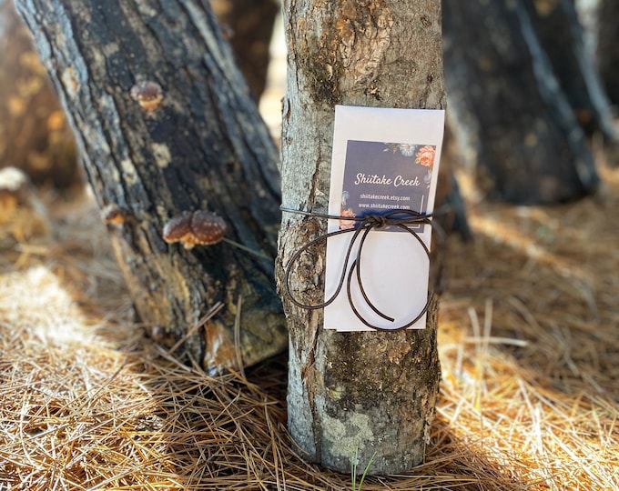 Shiitake Mushroom Log Shiitake Grow Kit Mushroom Log Etsy