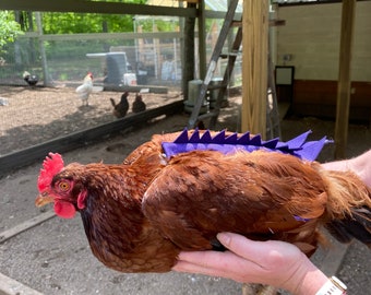 Wasserdichter Hühnersattel: Dinosaurier-Kostüm Henne Schürze mit Schwanz Spikes