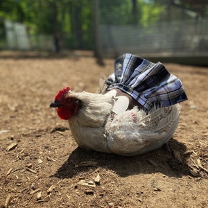 Plaid Chicken Saddle with Tail Protector: Waterproof Hen Apron