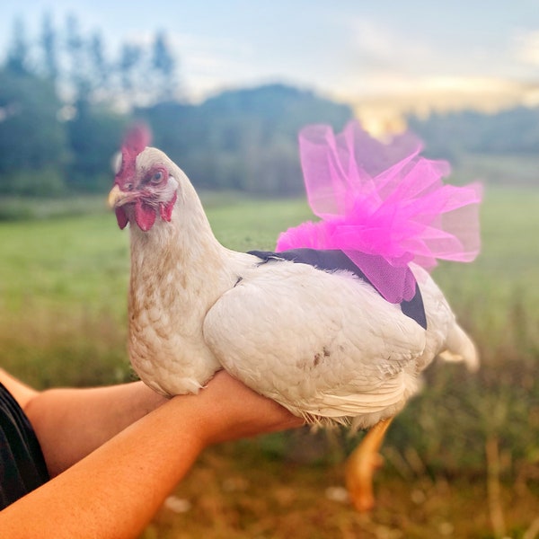 Chicken Saddle, chicken tutu, chicken saddle, chicken dress, Chicken Apron, Chicken Costume with skirt, hen saddle, hen apron, flower