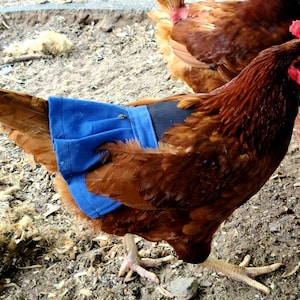 Chicken Saddle, Chicken Apron, Chicken Costume, with skirt, hen saddle, hen apron, chicken protection, sturdy chicken saddle