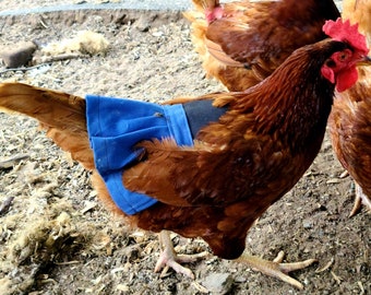 Chicken Saddle, Chicken Apron, Chicken Costume, with skirt, hen saddle, hen apron, chicken protection, sturdy chicken saddle