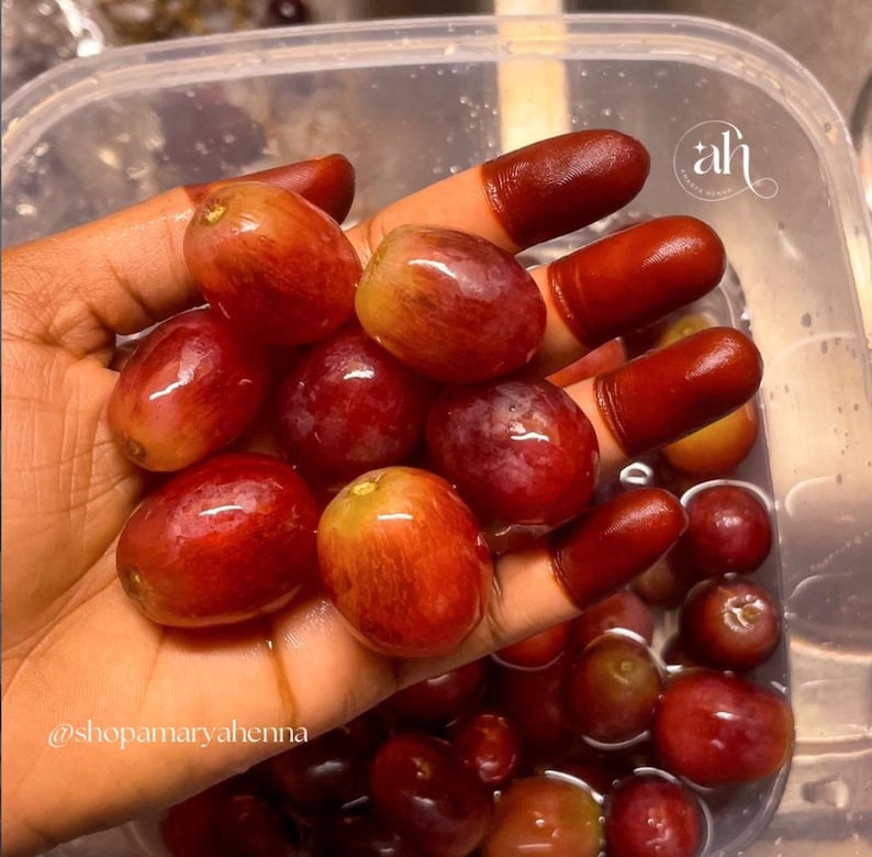 Woman hand with deep red-stained fingertips holding matching red grapes. Made with Amarya Henna Cones