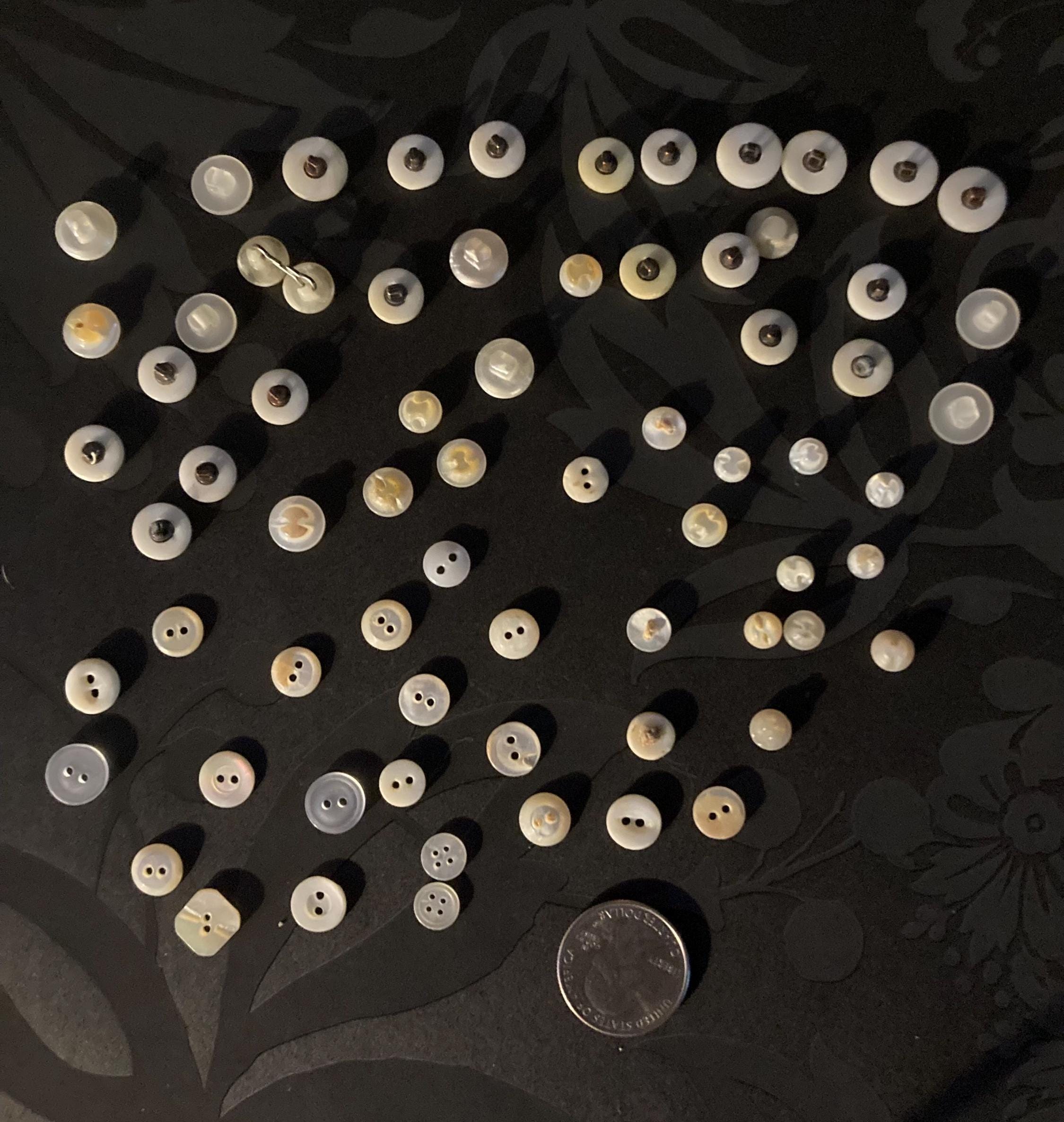 White Shell Button Set of 70 Assorted White Mother of Pearl Buttons -s49-with a Variety of ...