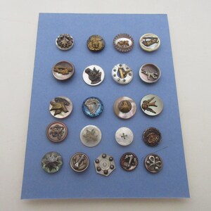 May include: A collection of 20 vintage buttons displayed on a blue background. The buttons are made of various materials, including metal, plastic, and shell. They feature a variety of designs, including animals, flowers, and geometric patterns.
