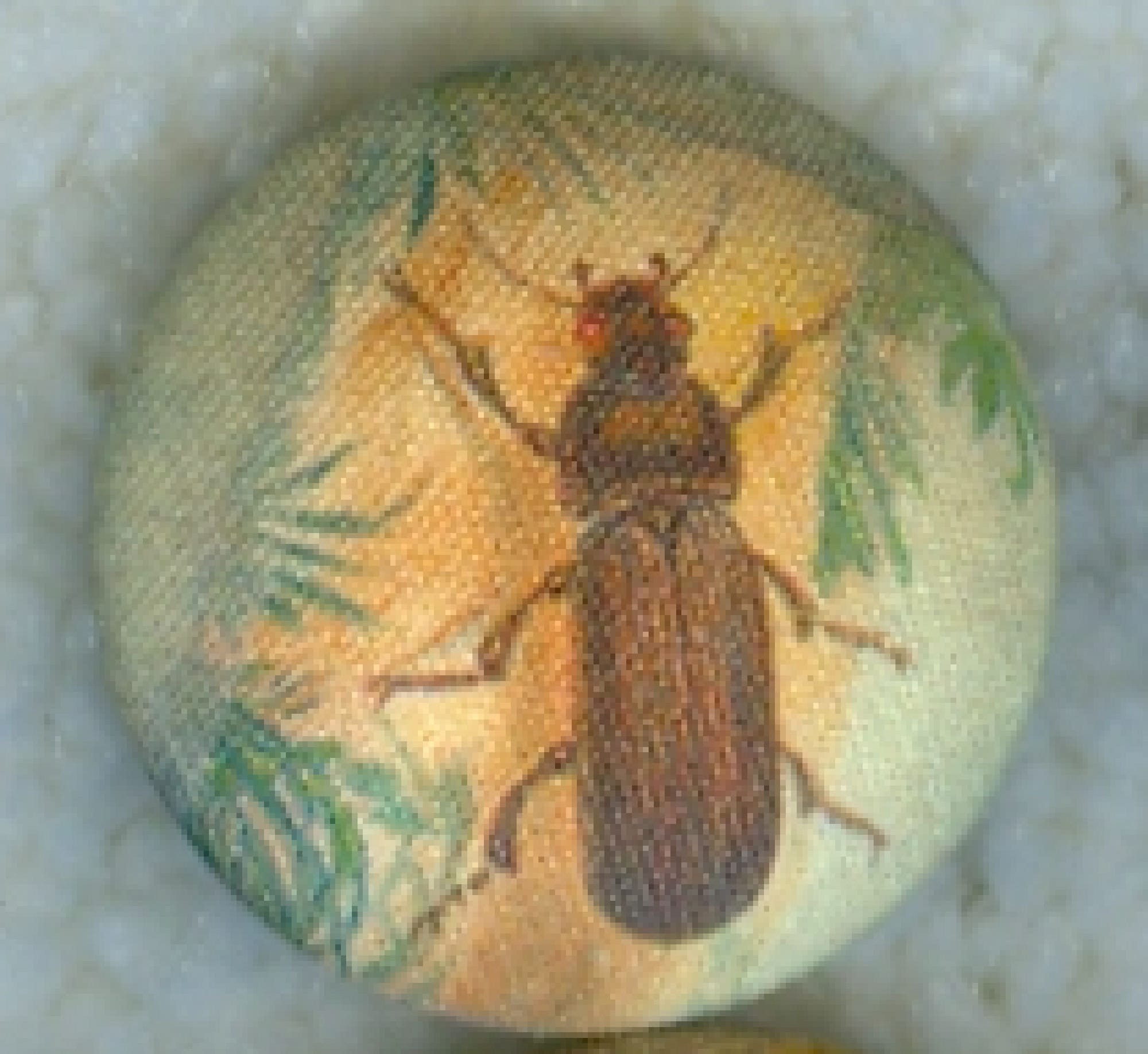 Lilac Bow Yoke Fabric Covered Button of an insect, from the 1990s - LY62  button, buttons, button gift, beetle button, insect button, bugs