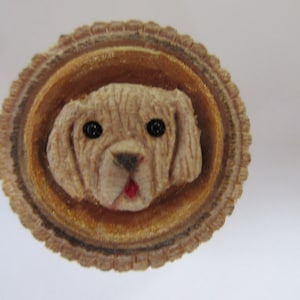May include: A close-up of a small, round, wooden plaque with a carved image of a dog's face. The dog has a light brown fur, black eyes, and a pink nose. The plaque is decorated with a gold-colored border.