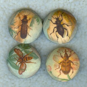 Set of Four Lilac Bow Yoke Fabric Covered Buttons of assorted insects, from the 1990s - LY56 button, buttons, button gift, insects, set of 4