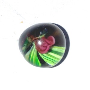 May include: A round glass paperweight featuring a dark, translucent base with an internal design of swirling bright green ribbons and a central, opaque magenta-colored floral-like shape encased within the clear, polished glass sphere.