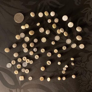May include: A collection of white mother of pearl buttons of various sizes and shapes. The buttons are arranged in a random pattern on a dark background.