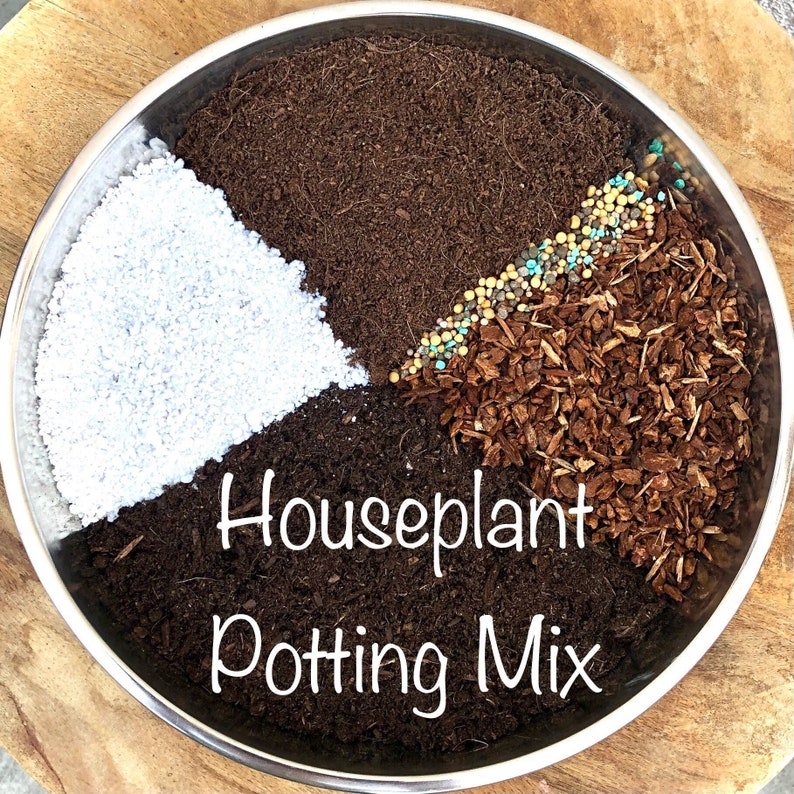 Premium Potting Soil Mix for Houseplants- Calathea, Hoya, Pothos, Philodendron- All Purpose
