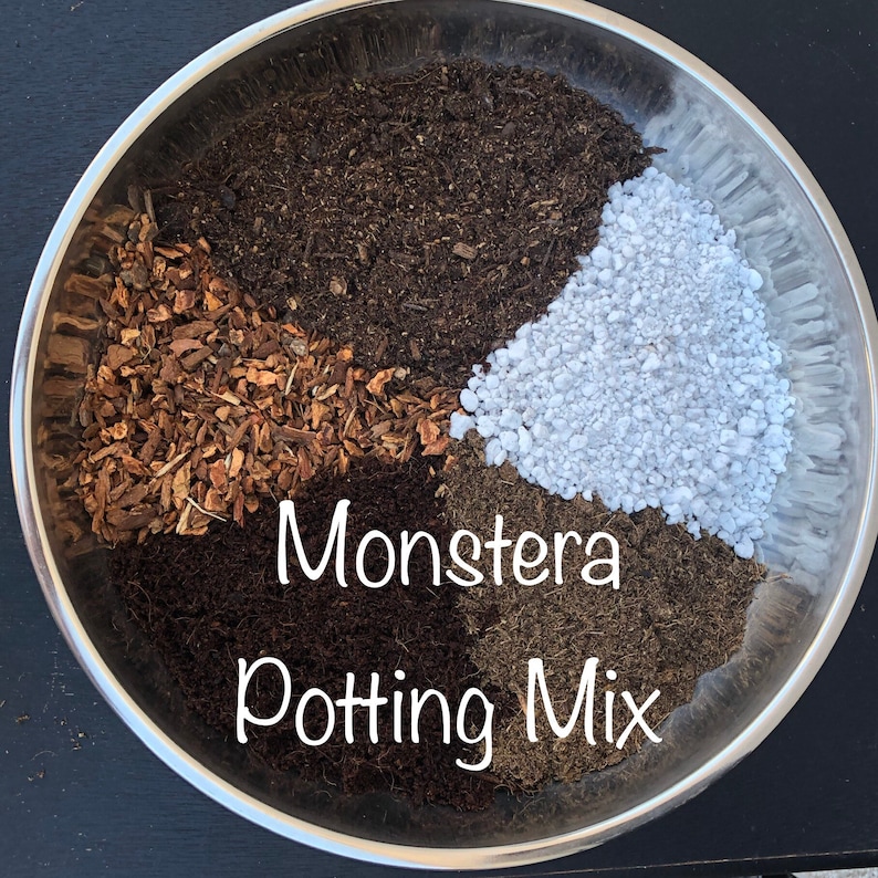 Monstera Custom Potting Mix Soil Mix for Monstera Etsy