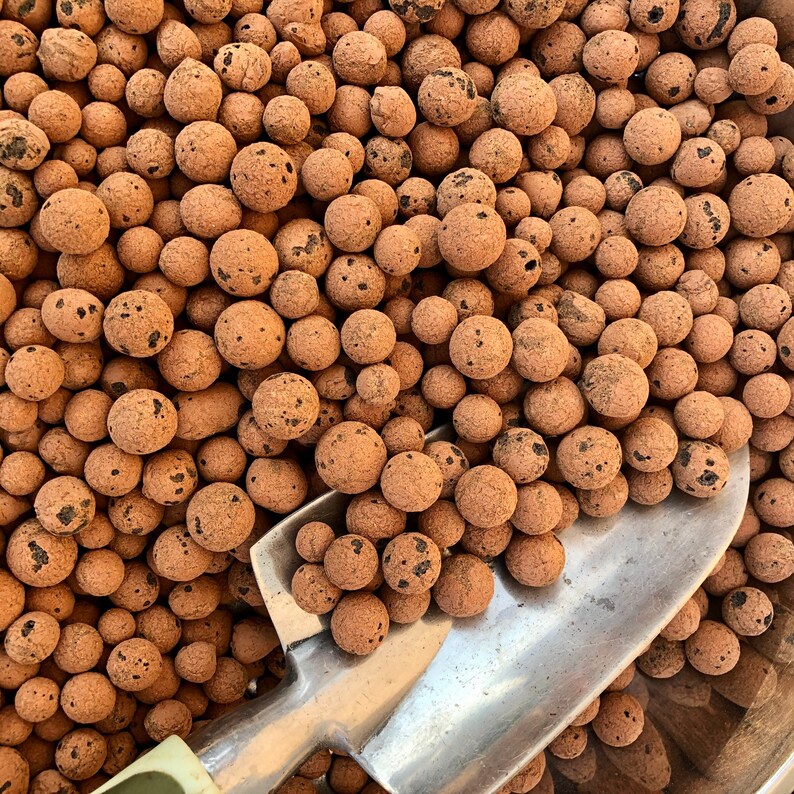 Expanded Clay Pebbles Expanded Clay Rocks for Hydroponics Etsy