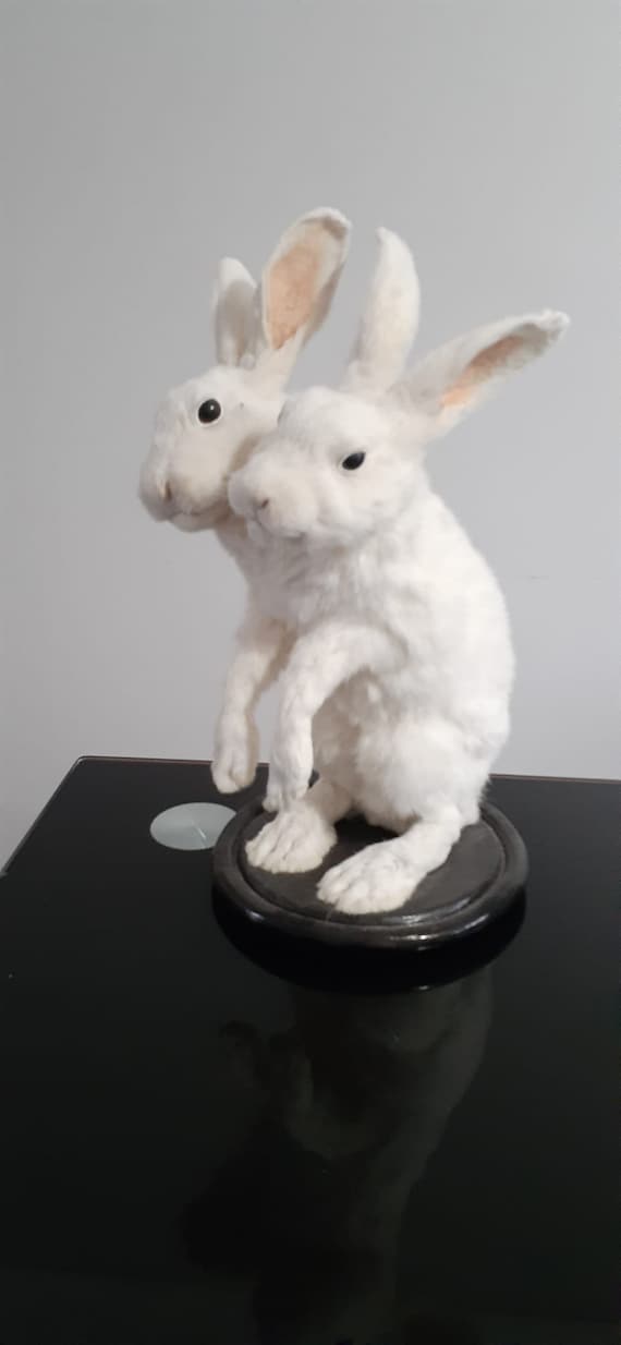 Two Headed Beast Rabbit Taxidermy, Standing White Bunny Mount