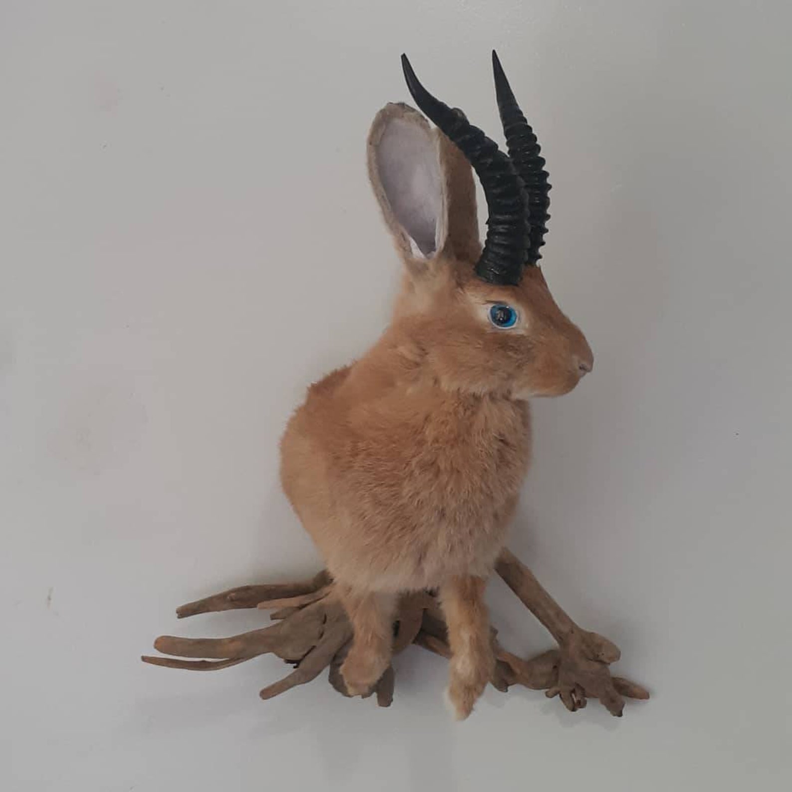 Brown Jackalope Taxidermy With Blue Eyes and Replica Black Etsy