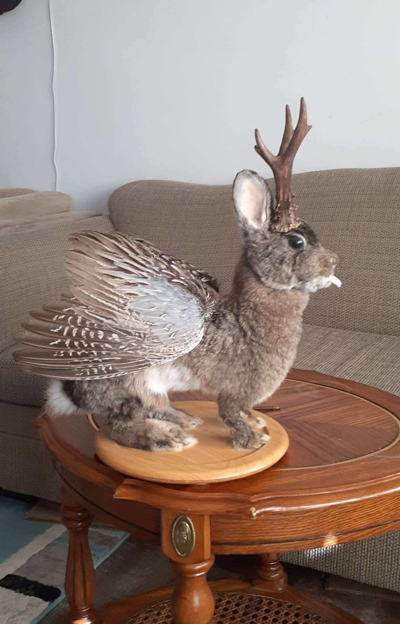 Wolpertinger Taxidermy Deutsches Jagd Und Fischereimuseum (German