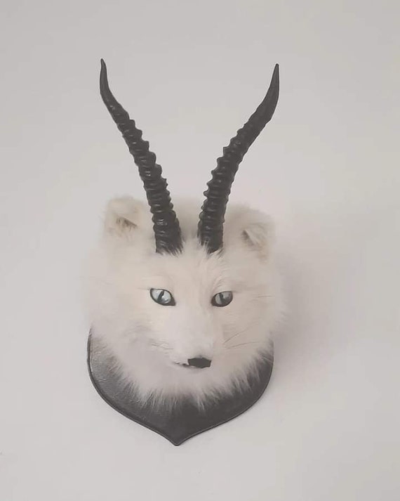 Arctic Foxalope Shoulder Mount Taxidermy, White Fox With Antlers