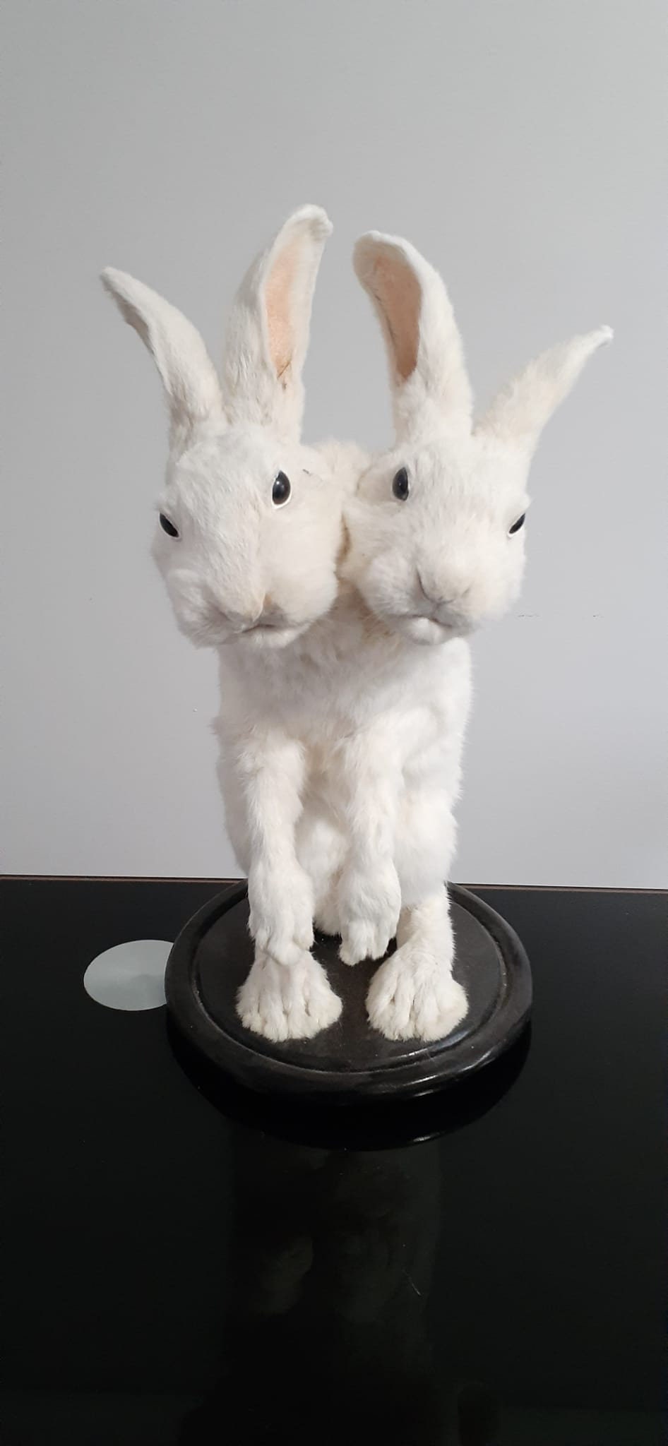 [Linked Image from i.etsystatic.com]