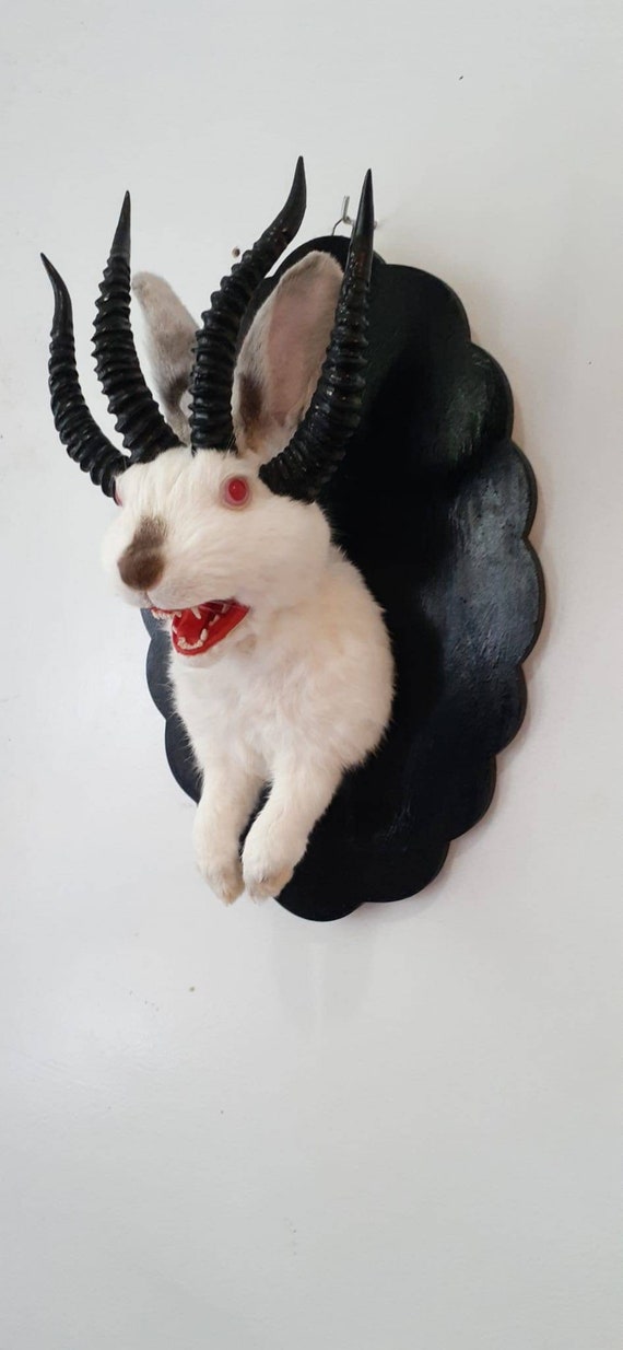Adorable Four Horned Open Mouth Beast Jackalope Taxidermy With