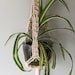 see more listings in the Plant Hangers section