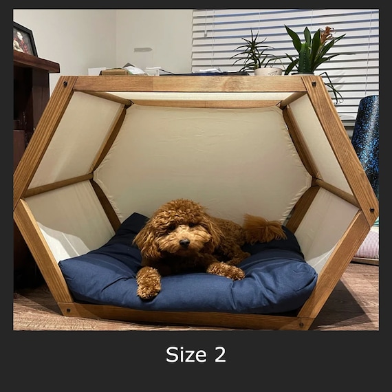 Is Walnut Oil Safe For Dogs