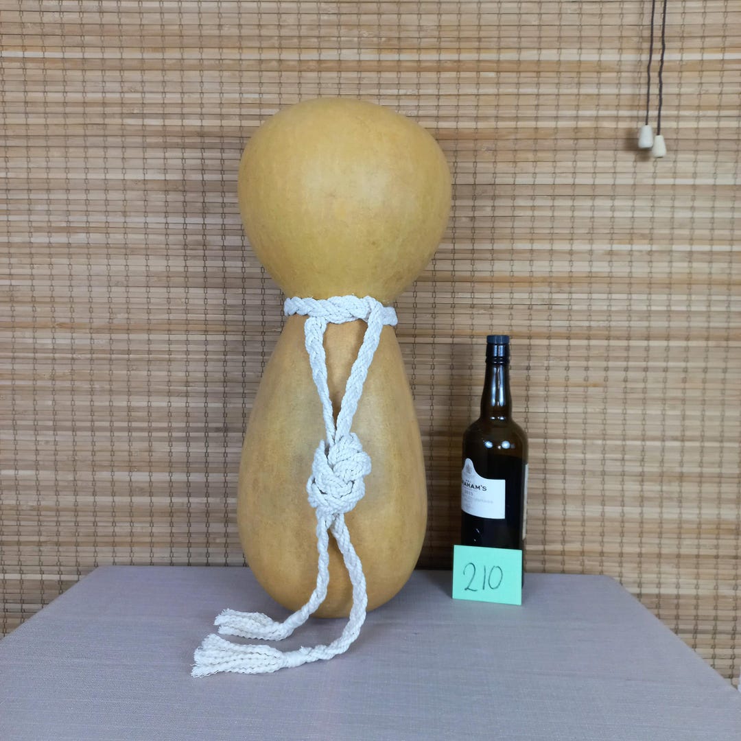 Hawaiian Natural Ipu Heke: Handcrafted Gourd Hula Instrument (23 Inches ...