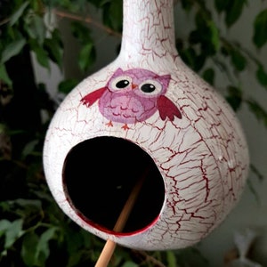 Owl birdfeeder, Gourd Bird House, Hanging Leather Strap, Bird feeders, Hand Painted, Housewarming gift, Backyard birding, for Bird Lover,