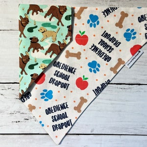 Obedience School Dropout Dog Bandana, Back to School Dog Bandana, Labrador Bandana, Over The Collar Bandana, Slide On Bandana